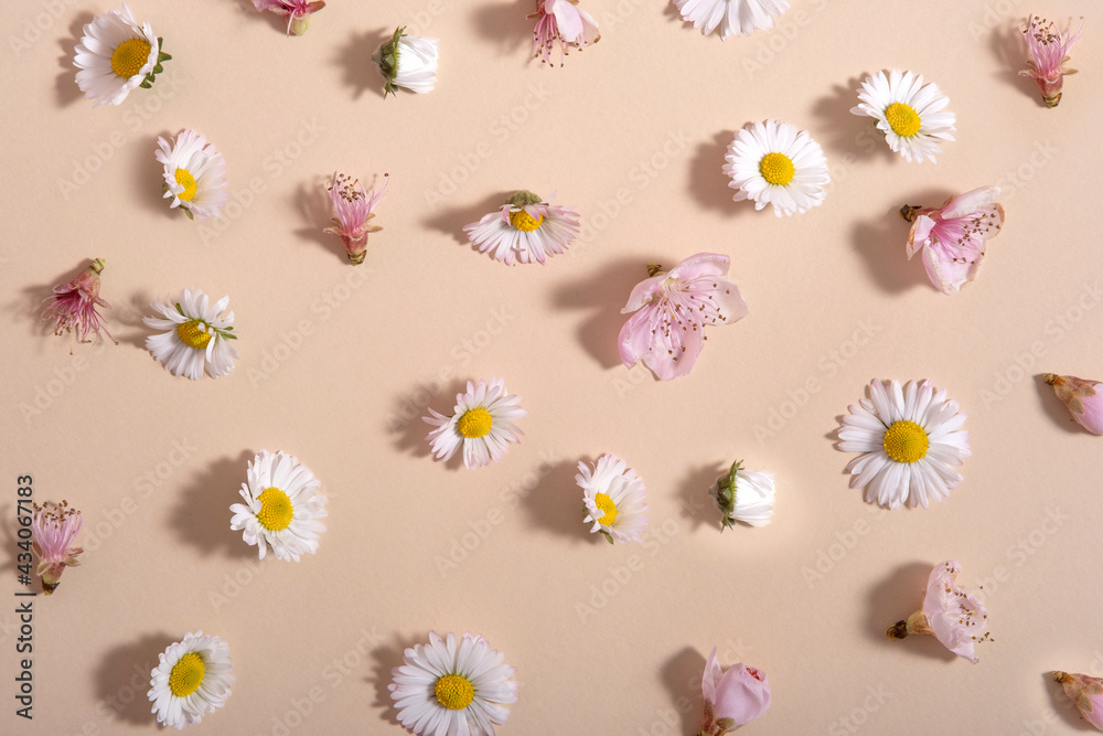 spring flowers on beige backgrounds. stock photo spring flowers on beige backgrounds. stock photo