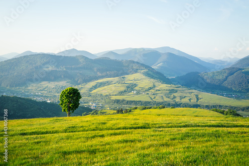 Idyllic sunny day in tranquil mountain landscape. Location place of Carpathian mountains.