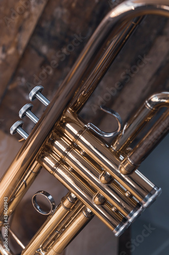 trumpet musical instrument. photo containing the whole musical instrument. natural wood background.