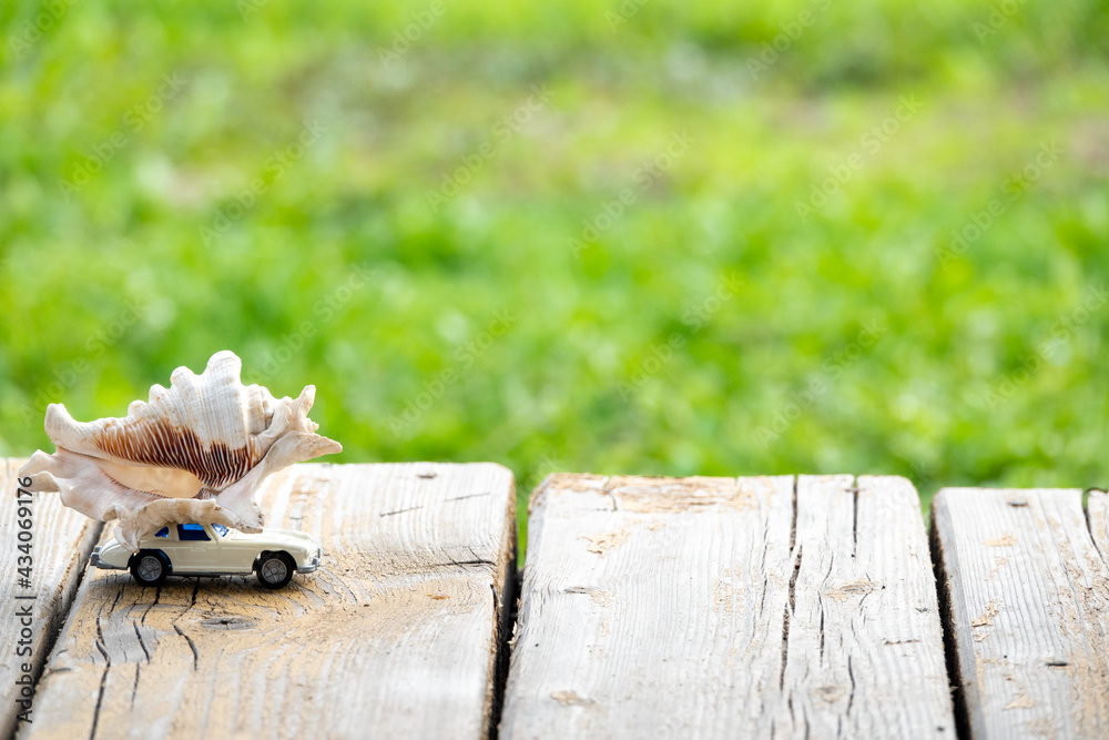 closeup of car on old wood planks texture and grass background