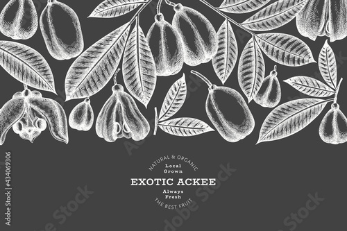 Hand drawn sketch style ackee banner. Organic fresh food vector illustration on chalk board. Retro exotic fruit design template. Engraved style botanical background. photo