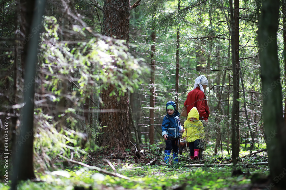 Children go to the forest for mushrooms Children go to the forest for mushrooms