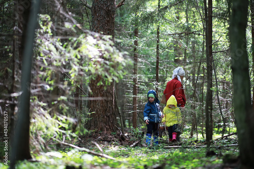 Children go to the forest for mushrooms