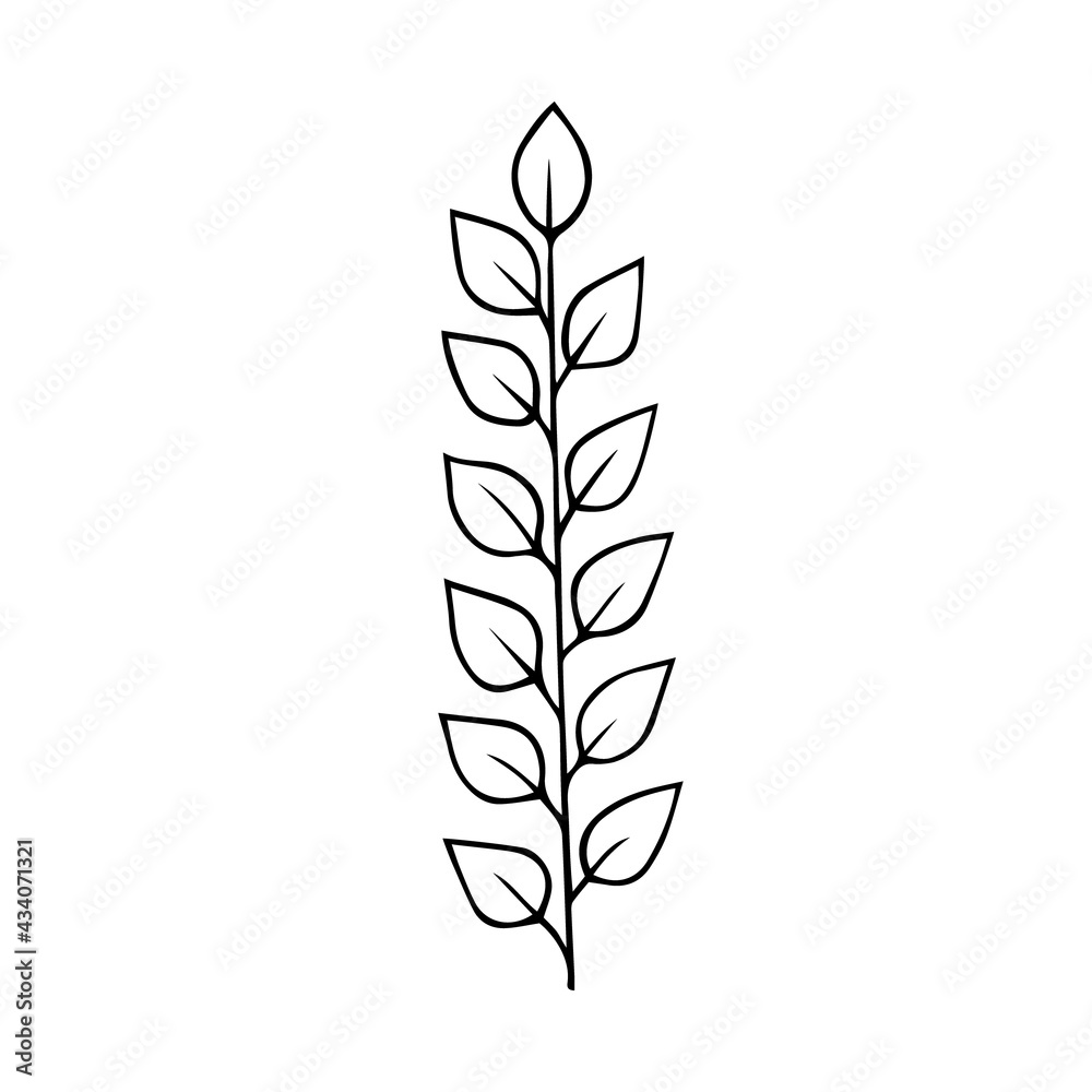 Plant twig with leaves hand drawn doodle outline. Frame border black design element. Greeting card invitation divider. Stock vector illustration isolated on white background.