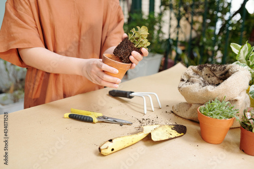 Hands of young woman planting flowers in pots at table in her backyard photo