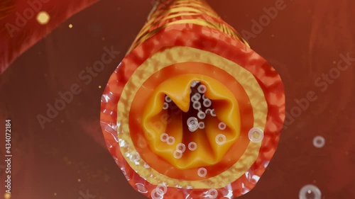 Asthma Symptoms, Treatment, Bronchiole, 3d render