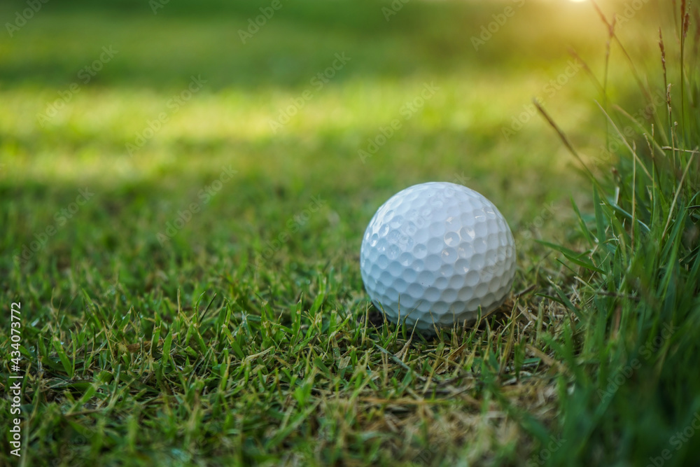White golf ball place near the tall grass of a golf course rough. White golf ball place near the tall grass of a golf course rough.
