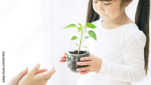 植物を見る女の子　環境イメージ