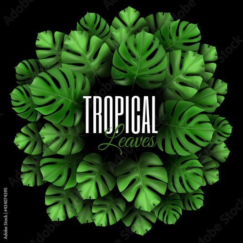 Round concept composition with tropical plants. Natural Realistic Green Palm Leaf Tropical Background. Circle frame with copy space. design template for advertising web social media and fashion ads.