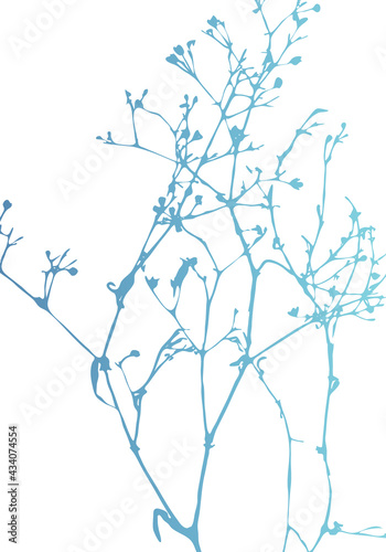 Isolated vector realistic plant, herb or twig in pastel  iridescent colors on white. Minimalist poster or card concept with delicate silhouettes of organic shapes. Modern abstract botanical artwork.
