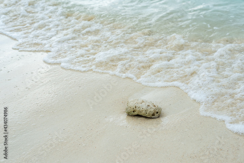 the coral rock on the beach against surf