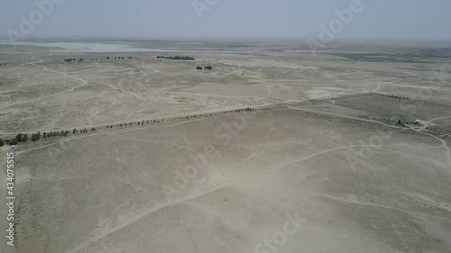 DRONE SHOT Rhim gazelle in the desert of Iraq photo