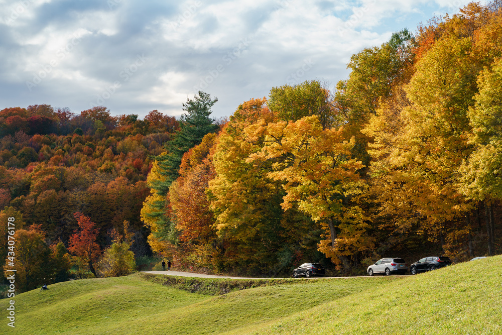 The small country road bending and winding under the rows of vibrant maple trees in Autumn. Vermont, United States