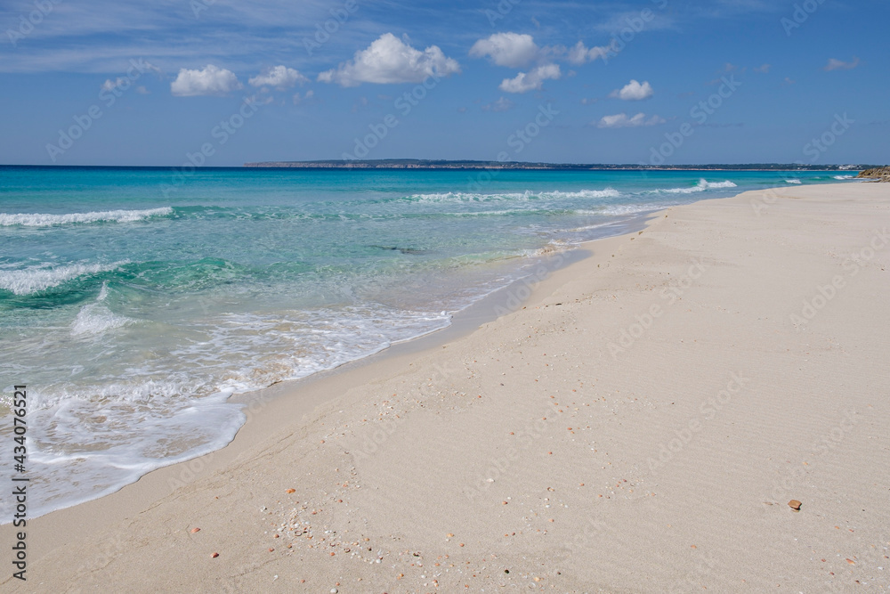 Es Arenals, Migjorn beach, Formentera, Pitiusas Islands, Balearic Community, Spain Es Arenals, Migjorn beach, Formentera, Pitiusas Islands, Balearic Community, Spain