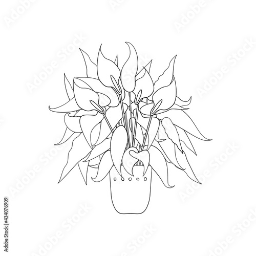 Line art black tropical potted house plant peace lily isolated on white background. Stock vector illustration.