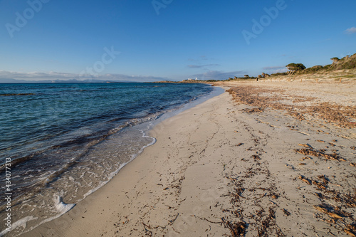 Es Cavall d En Borr  s  Formentera  Pitiusas Islands  Balearic Community  Spain