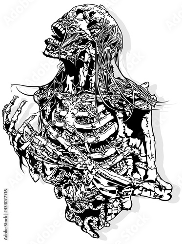 Horror Skeleton Drawing Isolated on White Background - Scary Design Element for Halloween or Metal Music Design, Vector photo