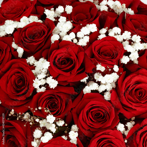 Fototapeta Naklejka Na Ścianę i Meble -  Premium white box with red roses and gypsophila.