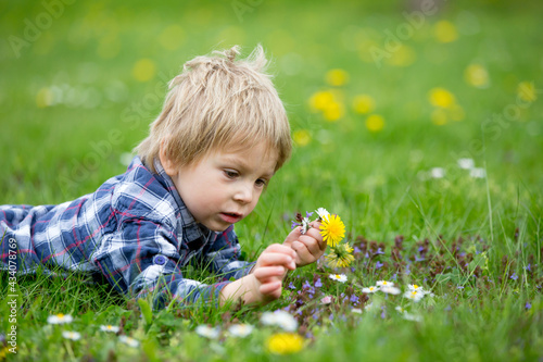 Beautiful toddler blond child, cute boy, lying in the grass © Tomsickova