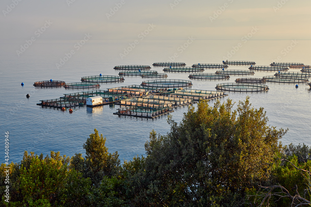 Sea fish farm. Artificial fish farming in Europe