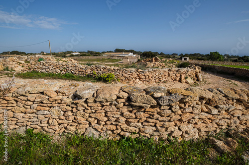 traditional stone walls for agricultural land, Formentera, Pitiusas Islands, Balearic Community, Spain