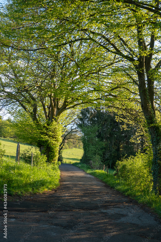 Wunderschöne Frühlingslandschaft am Karmalitinnen Kloster in Zweifall