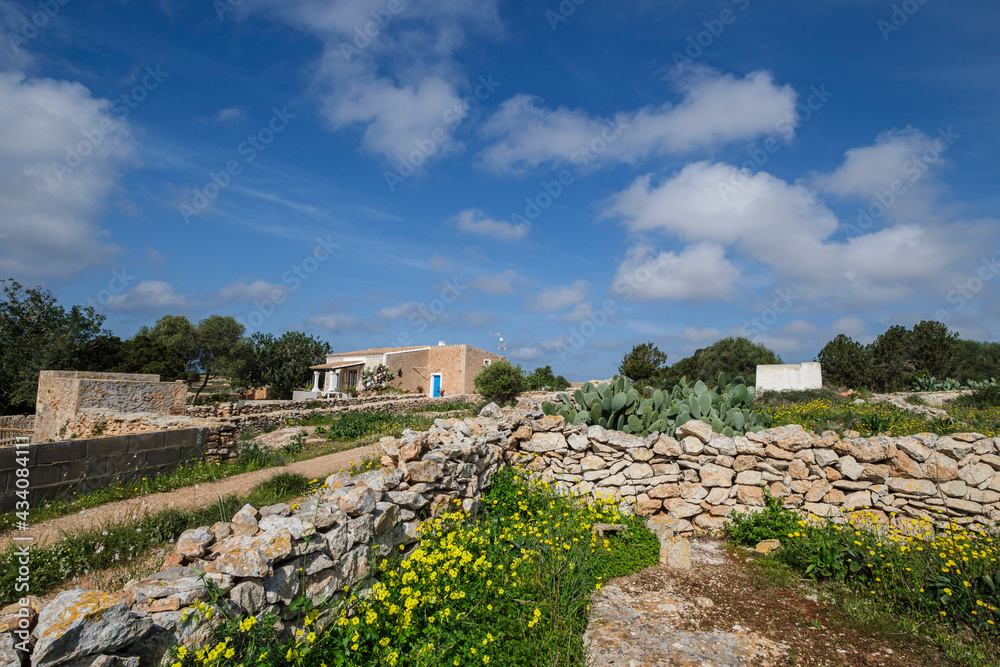 traditional stone walls, typical rural house, Formentera, Pitiusas Islands, Balearic Community, Spain