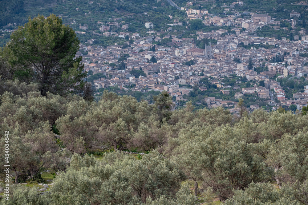 village of Soller seen from the olive groves of Fornalutx, Sierra de Tramuntana,Mallorca, Balearic Islands, Spain