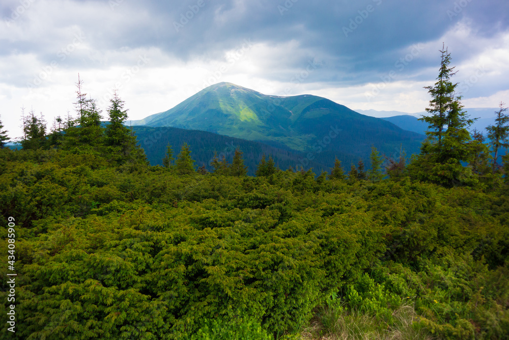 Summer time, Carpathian mountains