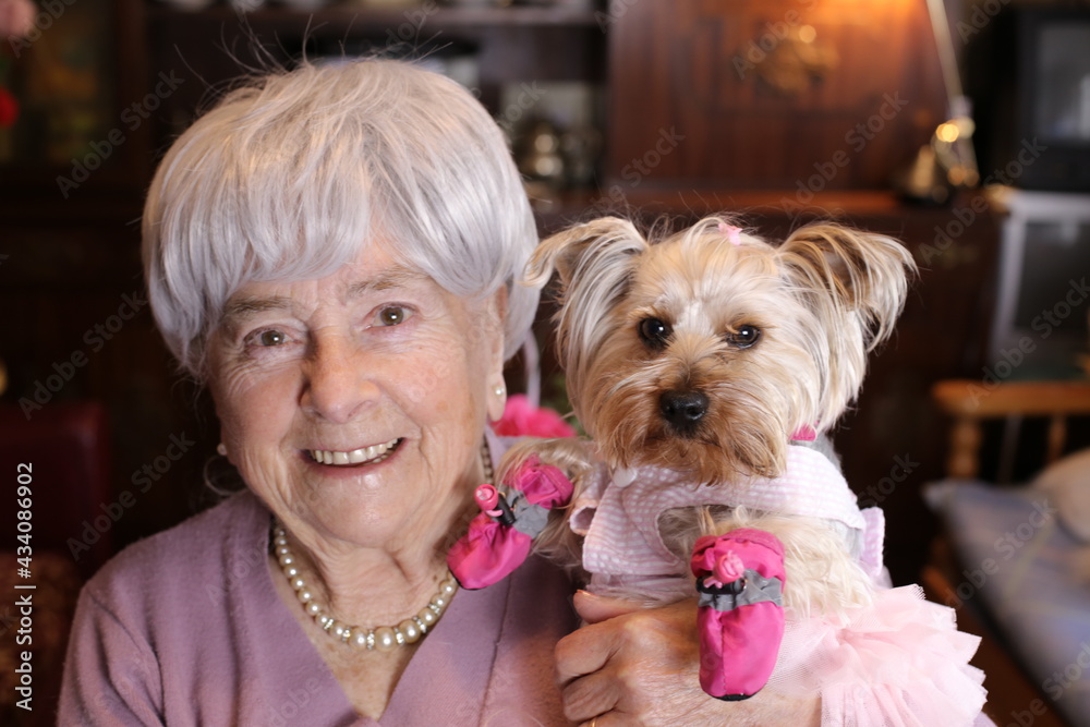 Senior woman holding female dog in pink princess outfit Senior woman holding female dog in pink princess outfit