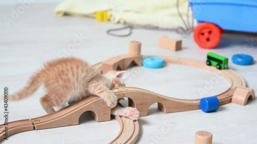 cute little ginger funny kitten cat playing at home in the nursery with children's toys paravoz on a wooden railroad. High quality photo