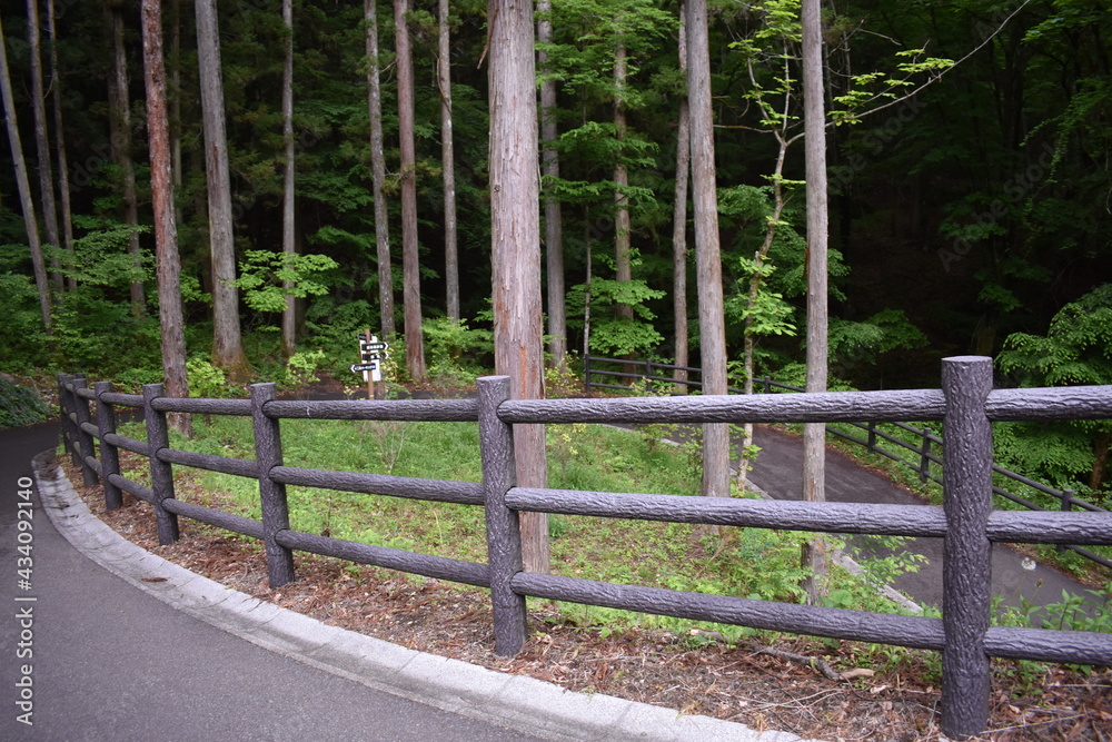 日本　群馬　八ッ場ダムの傍　猿橋　5月の風景
