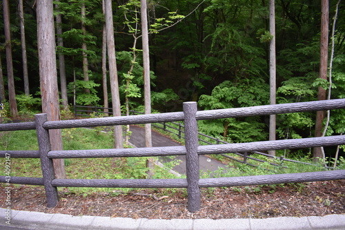 日本 群馬 八ッ場ダムの傍 猿橋 5月の風景