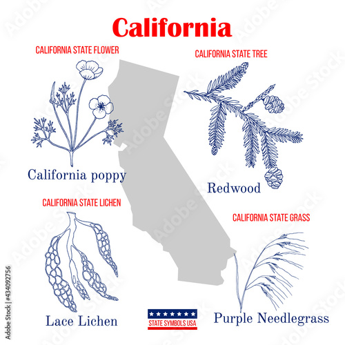 California. Set of USA official state symbols