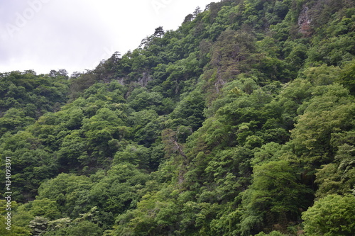 日本 群馬 八ッ場ダムの傍 猿橋 5月の風景