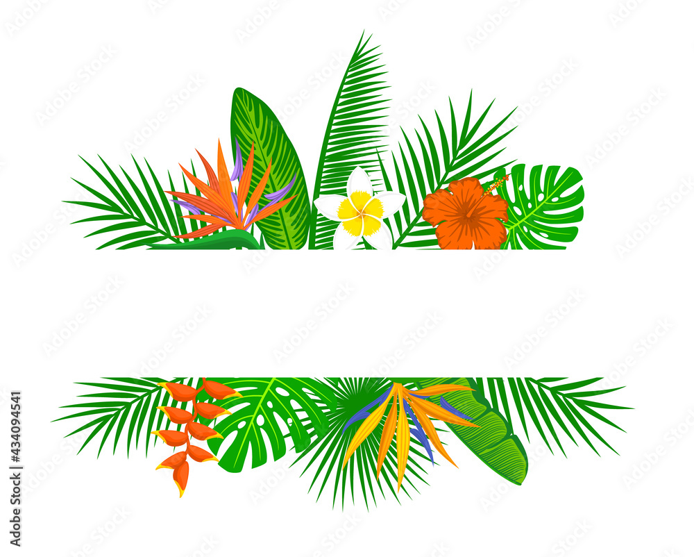 tropical exotic leaves and flowers plants background. floral foliage backdrop with palm tree banana  monstera leaf hibiscus  heliconia bird of paradise frangipani