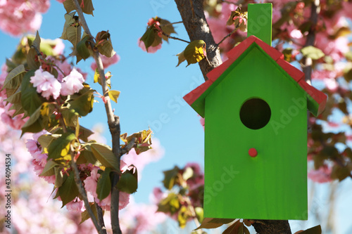 Green bird house hanging on tree branch outdoors. Space for text