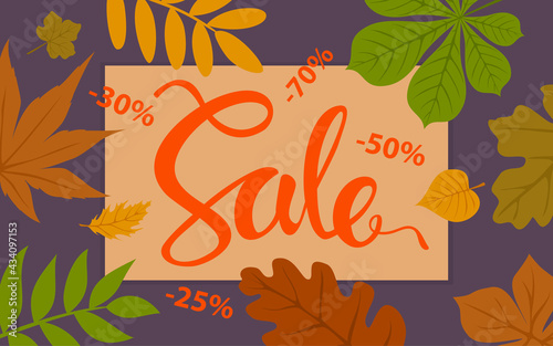 autumn sale promotional background template with forest fall leaves border