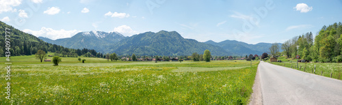 country road rural spring landscape Rottach valley, with view to alps and flower meadows, upper bavaria