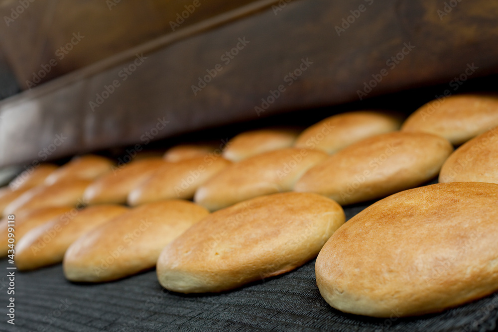 Bread conveyor line, on a factory