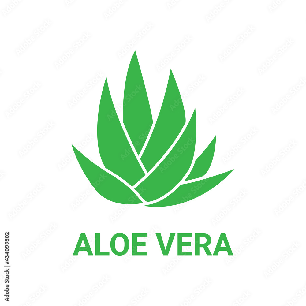 Aloe vera icon, aloe plant