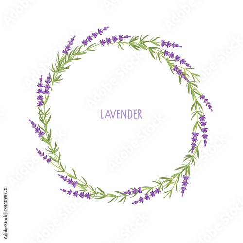 Lavender wreath. Flowers frame. Vector flat grass lavender Illustration. Lavender flowers collection isolated. For save date, inscriptions, photo. Medical plant. For birthday, wedding Invitation, 