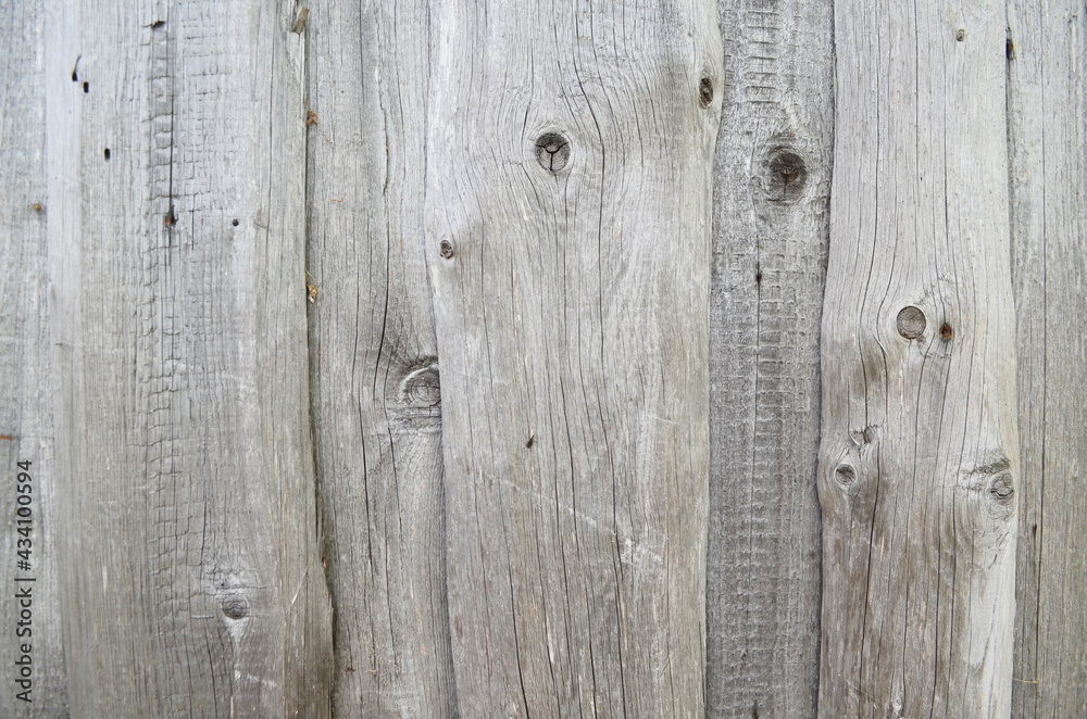 Naklejka premium Photo of old wood, gray texture of natural wood, background of aged wood