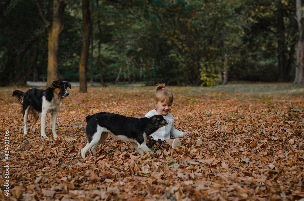 Little girl sitting on fallen leaves and playing with a dog in the park Little girl sitting on fallen leaves and playing with a dog in the park