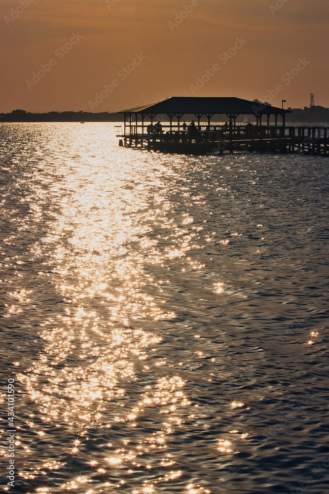 Obraz premium Bird watching in at the Melbourne beach pier in Florida at sunset on the Indian river