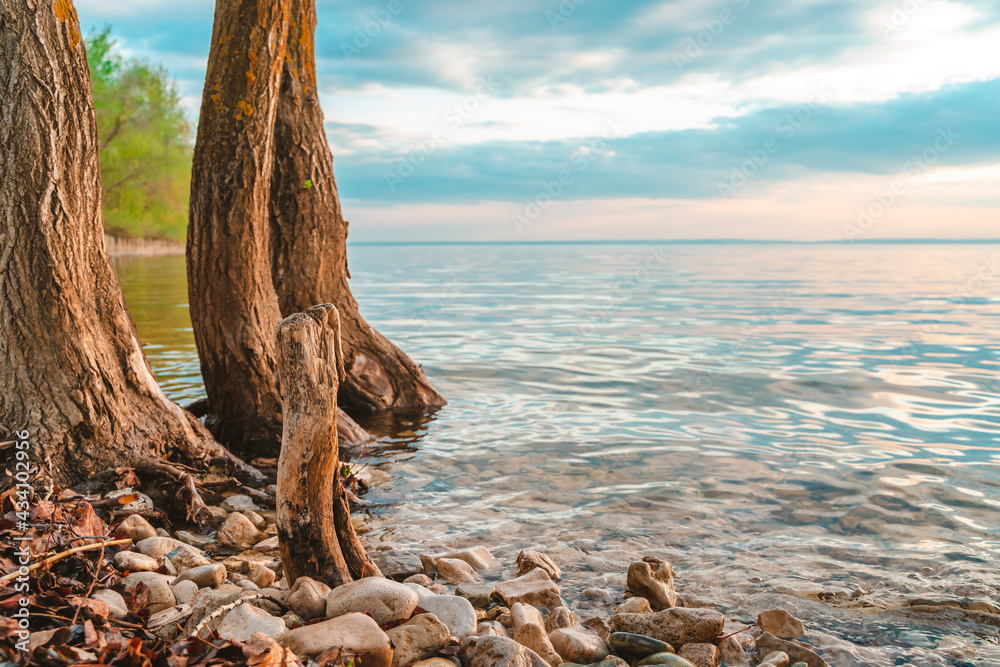 Scenic view of a beautiful sunset or sunrise over a river on a spring evening with a cloudy sky background and stick trees in the foreground. Landscape. Water reflection.