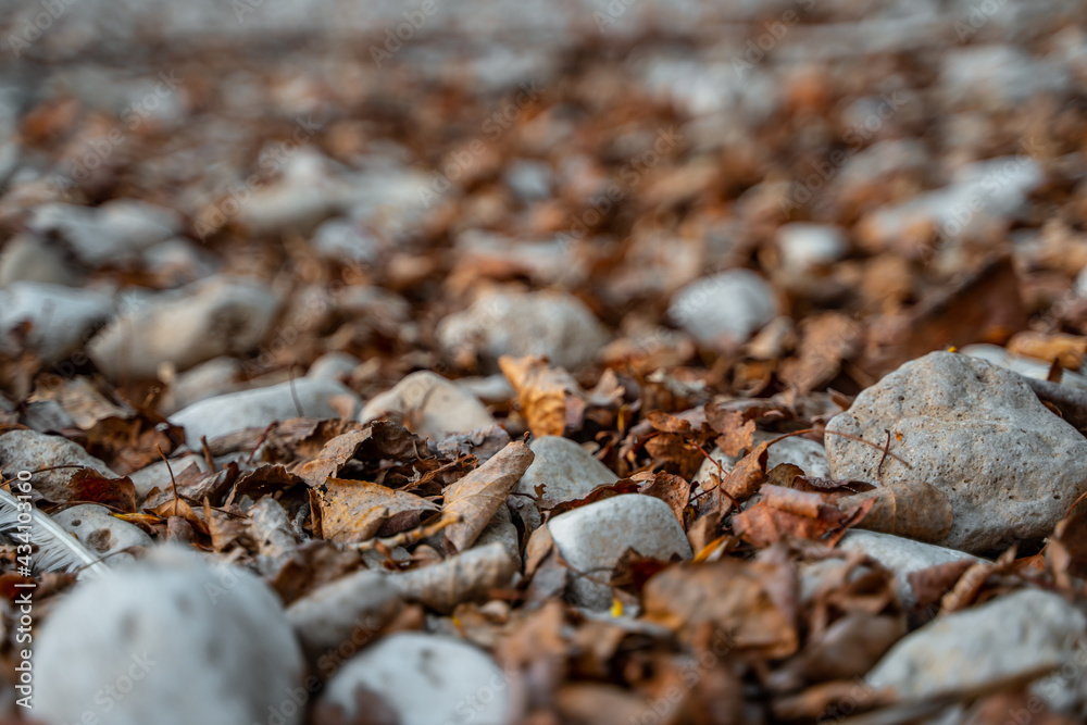 Natural background of stones among dry leaves Natural background of stones among dry leaves