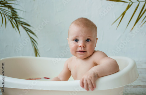 portrait of a baby boy bathing in a milk bath on a white background with plants with space for text