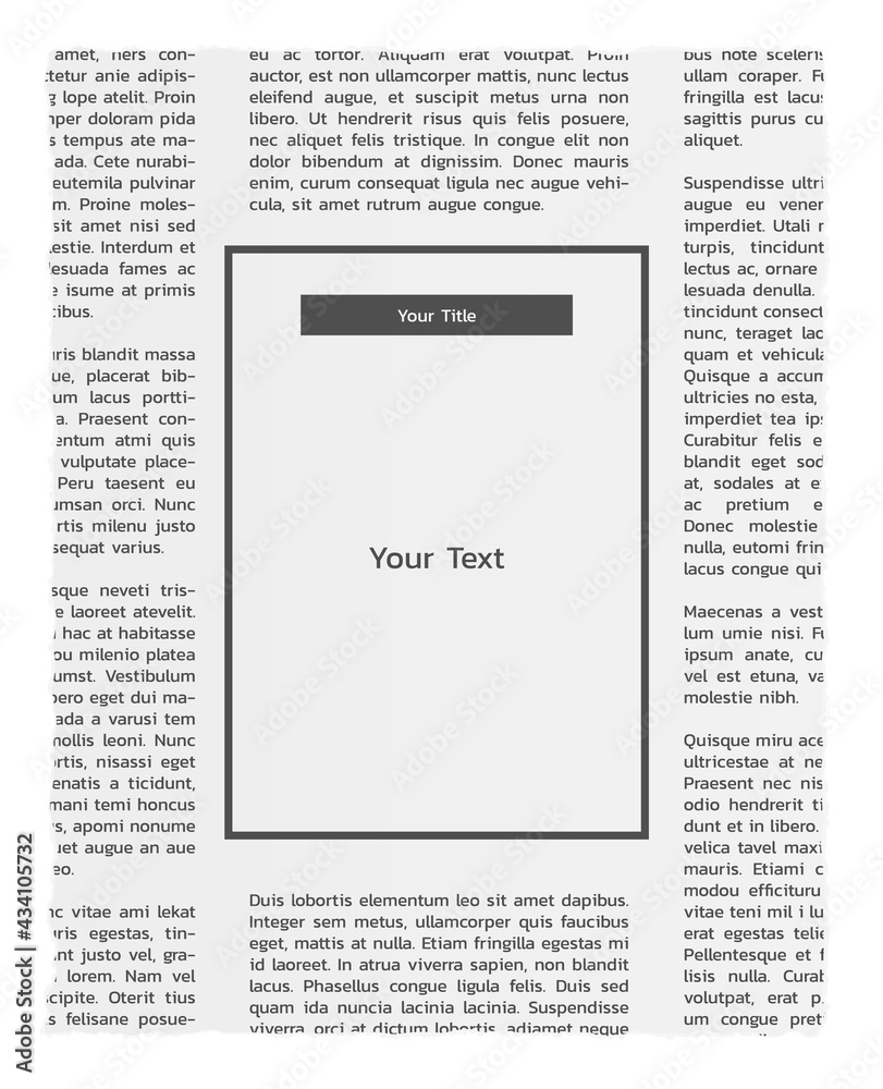 Fototapeta premium newspapers with lorem ipsum text and empty box