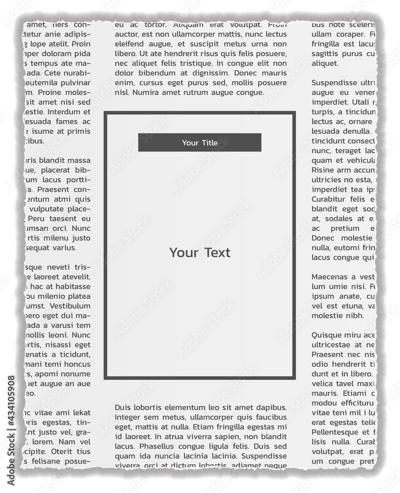 Fototapeta premium newspapers with lorem ipsum text and empty box